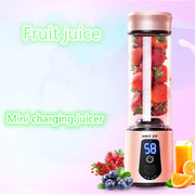 Mini Charging Juicer