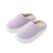 Women's Winter Cotton Slippers - Thick Bottom Non-slip